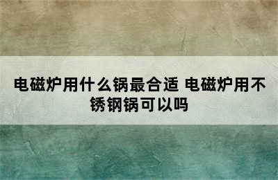 电磁炉用什么锅最合适 电磁炉用不锈钢锅可以吗